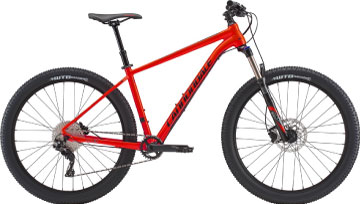 29 plus / 27.5 plus mountain bike