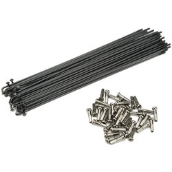 Cinema BMX Stainless Steel Spokes