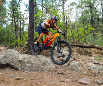 trek mountain bikes guide