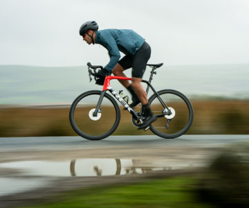 trek road bikes guide