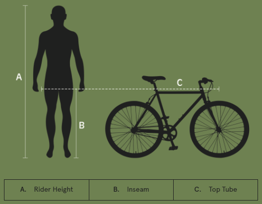Sizing